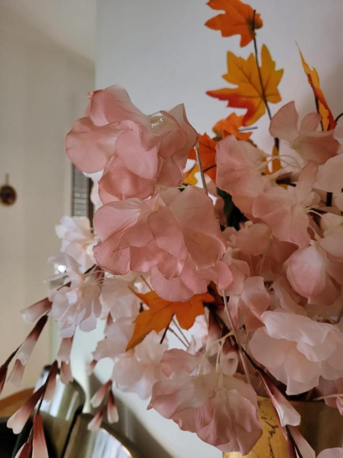 La Maison De Rose Turi Eksteriør billede